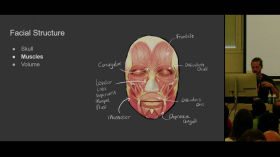 Tackling Facial Animation by Main Blender channel