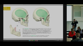 Construction of the Human Head: Blockouts, Landmarks, Phenotypes by Main Blender channel